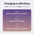 Softwake Gentle 100% Wake-Up Alarm